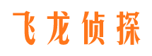 双台子侦探公司